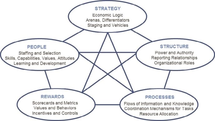 Designing a high performance organization - IMD business school for ...