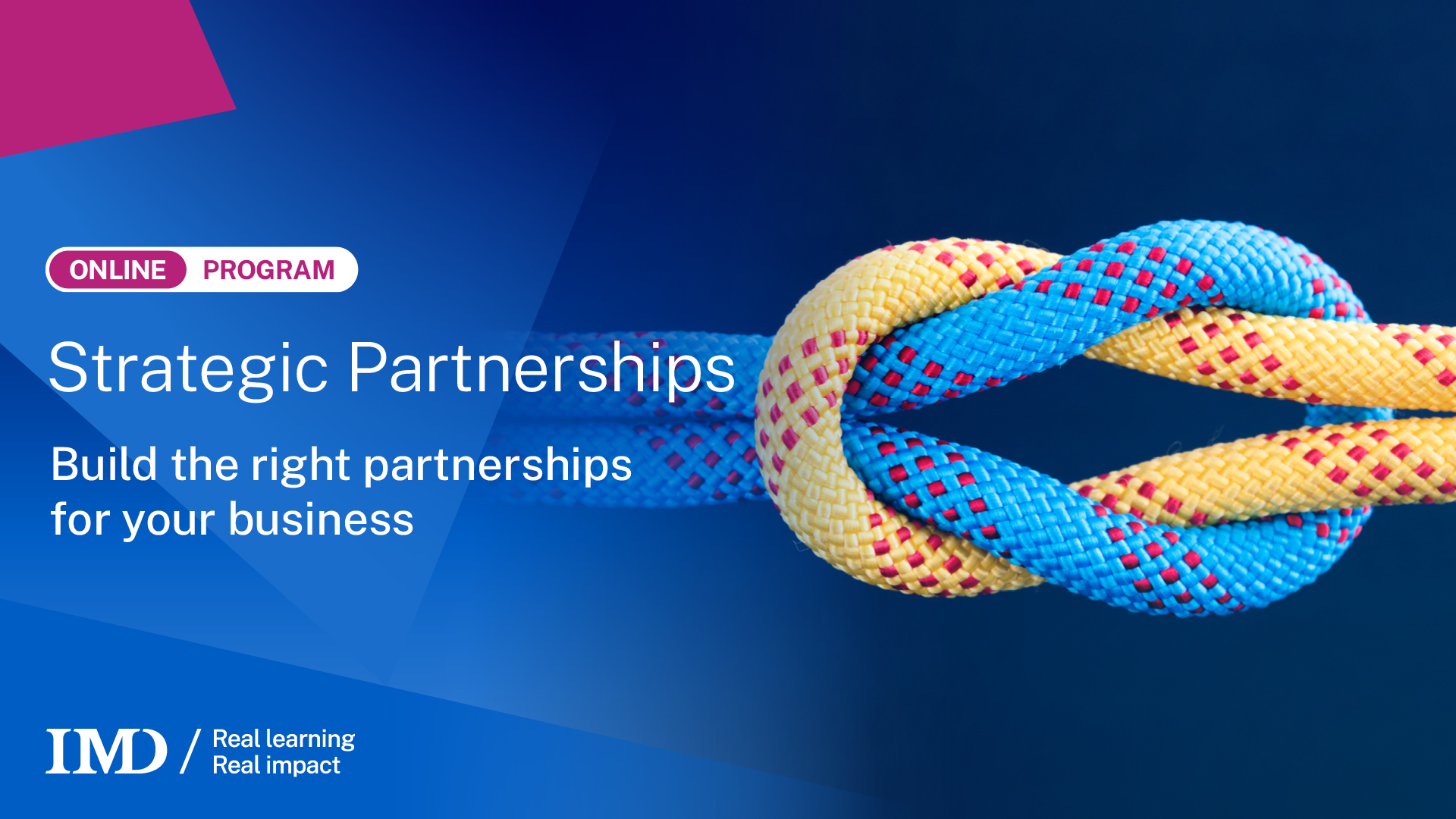 Strategic Partnerships Online Course Build Strategical Partnerships