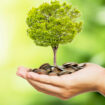 How to make money on sustainability