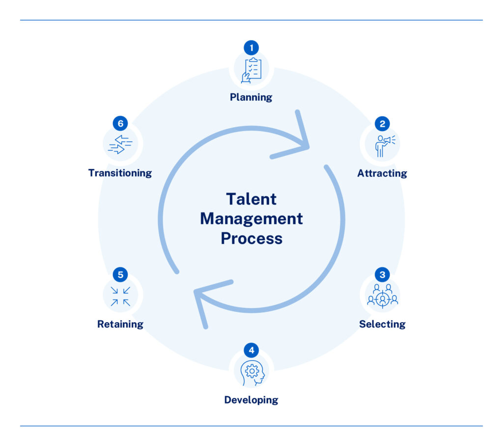 the 6 steps of talent management process